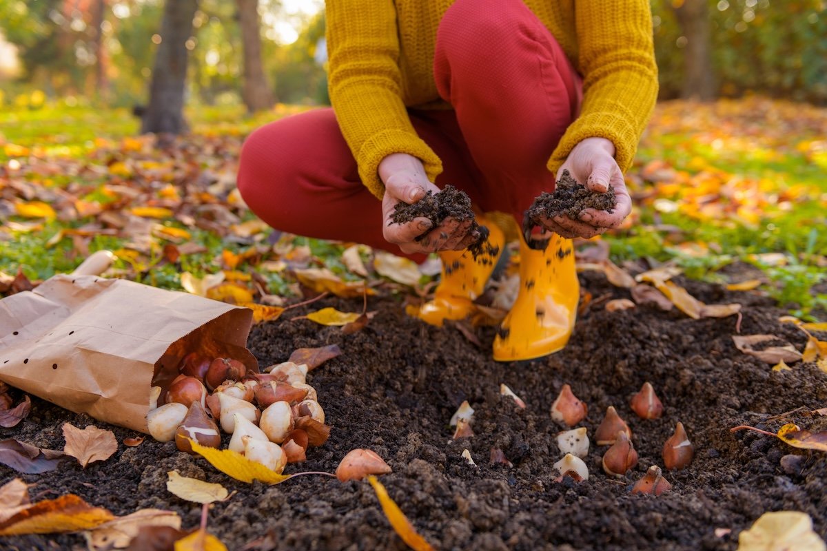 Bob Vila’s 10 “Must Do” Projects for September