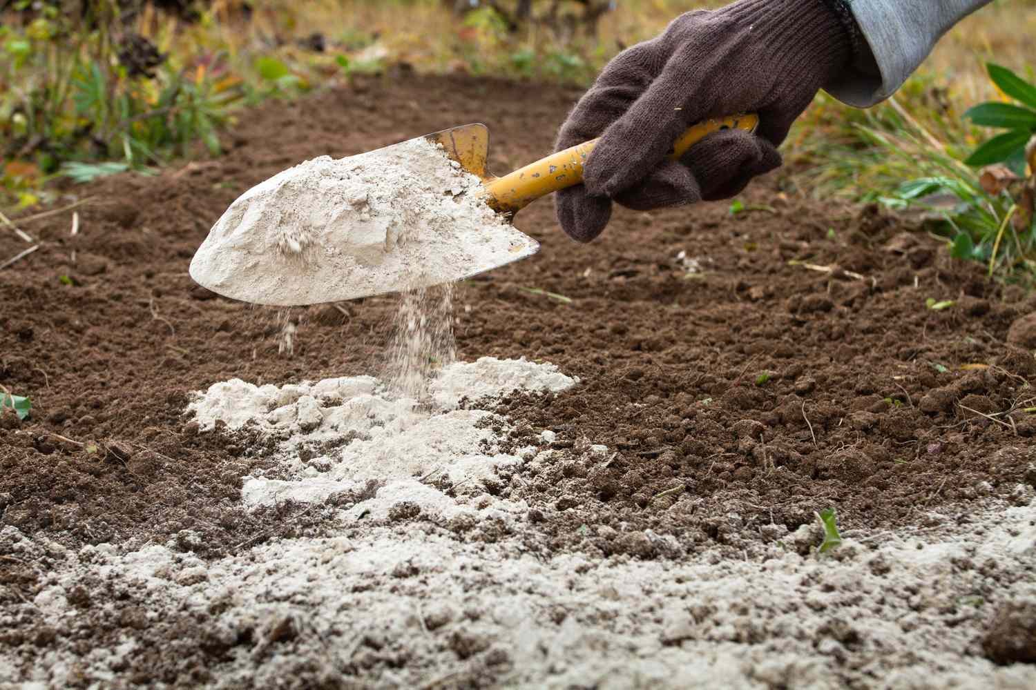 How to Use Flour in the Garden, According to Experts