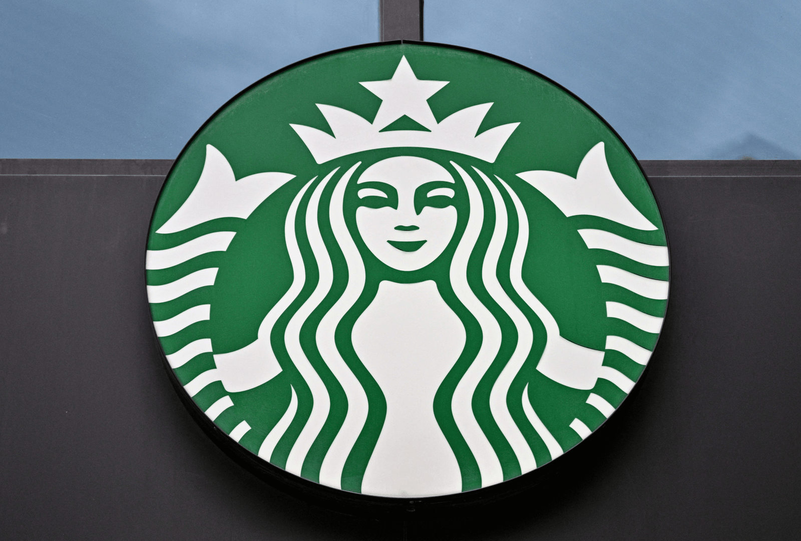 How the Launch of Starbucks' Bearista Cup Caused Chaos Nationwide