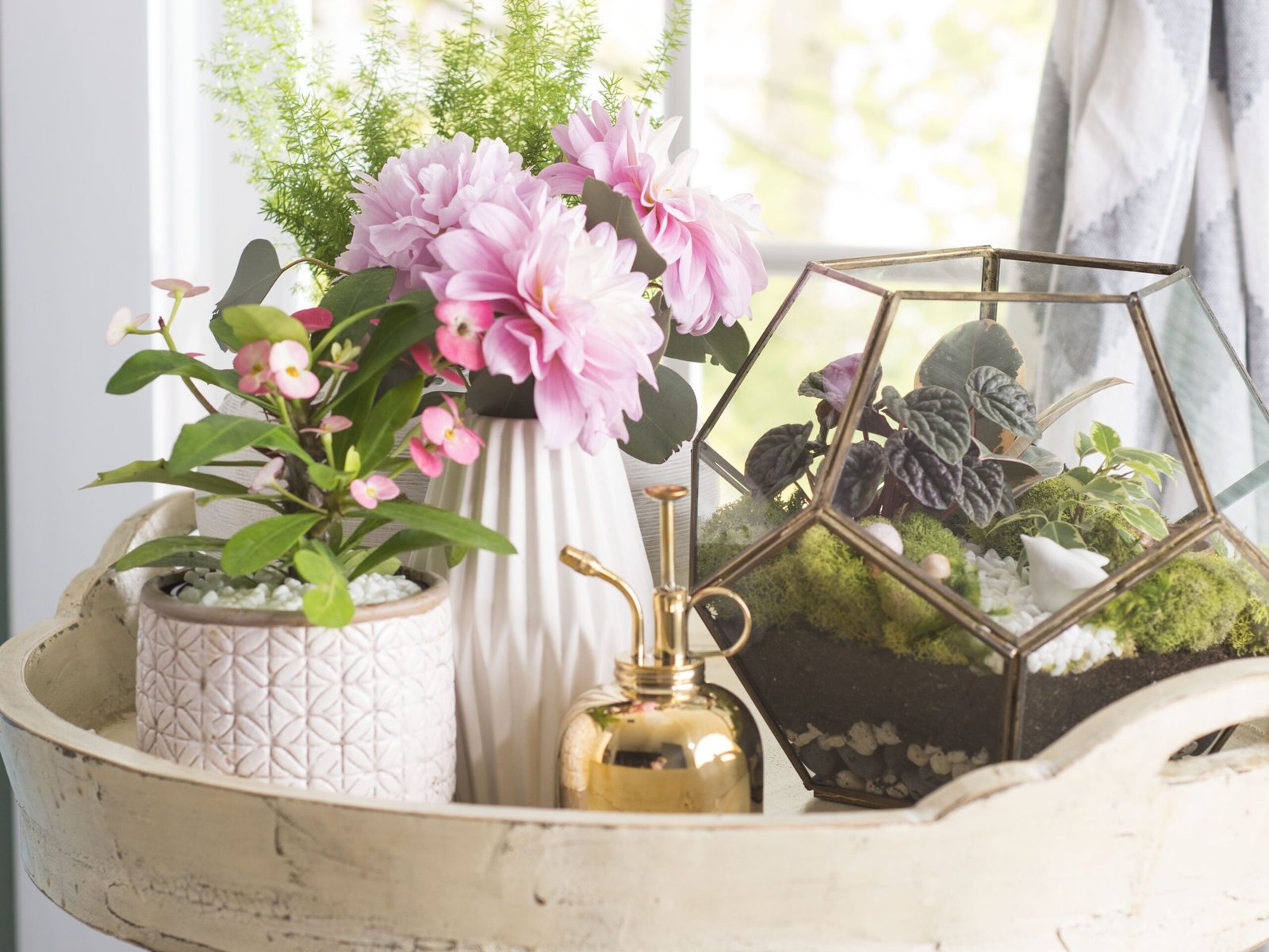 3 Signs Your Houseplants Need a Humidity Boost This Winter