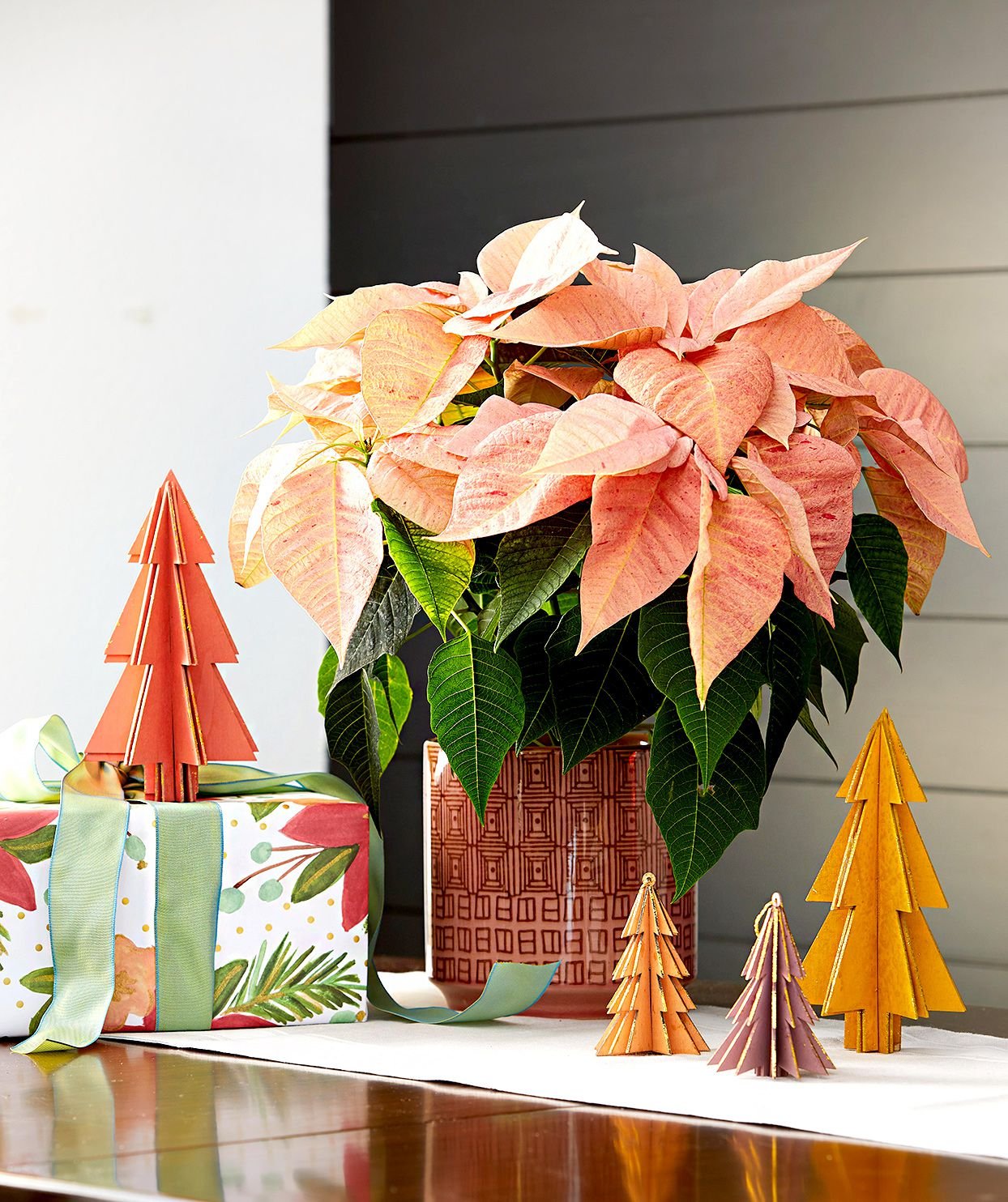 7 Poinsettia Mistakes That Could Shorten Its Lifespan