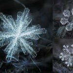 These Macro Photos of Snowflakes Reveal Nature’s Most Dazzling Designs
