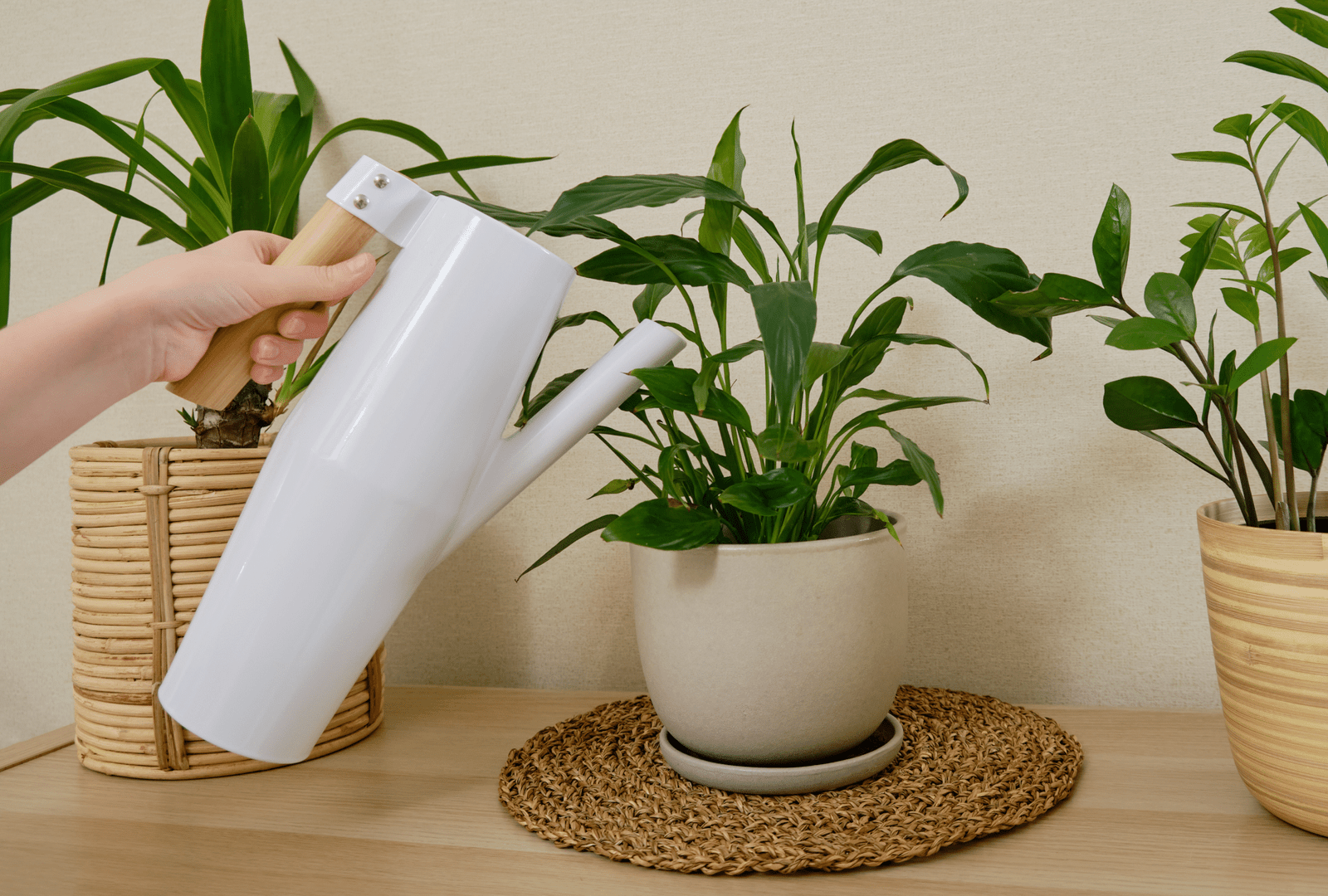 How Often to Water a Peace Lily: 4 Essential Tips