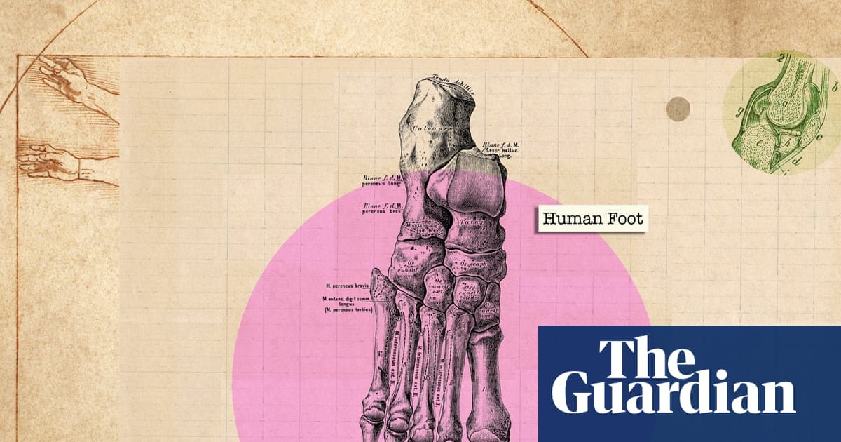 ‘We stick them in shoes and forget about them’: how to really look after your feet | Health & wellbeing