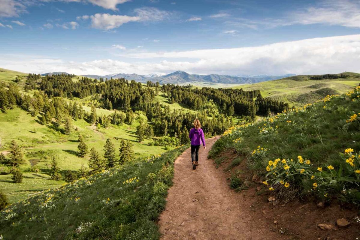 Bozeman, Montana, Travel Guide