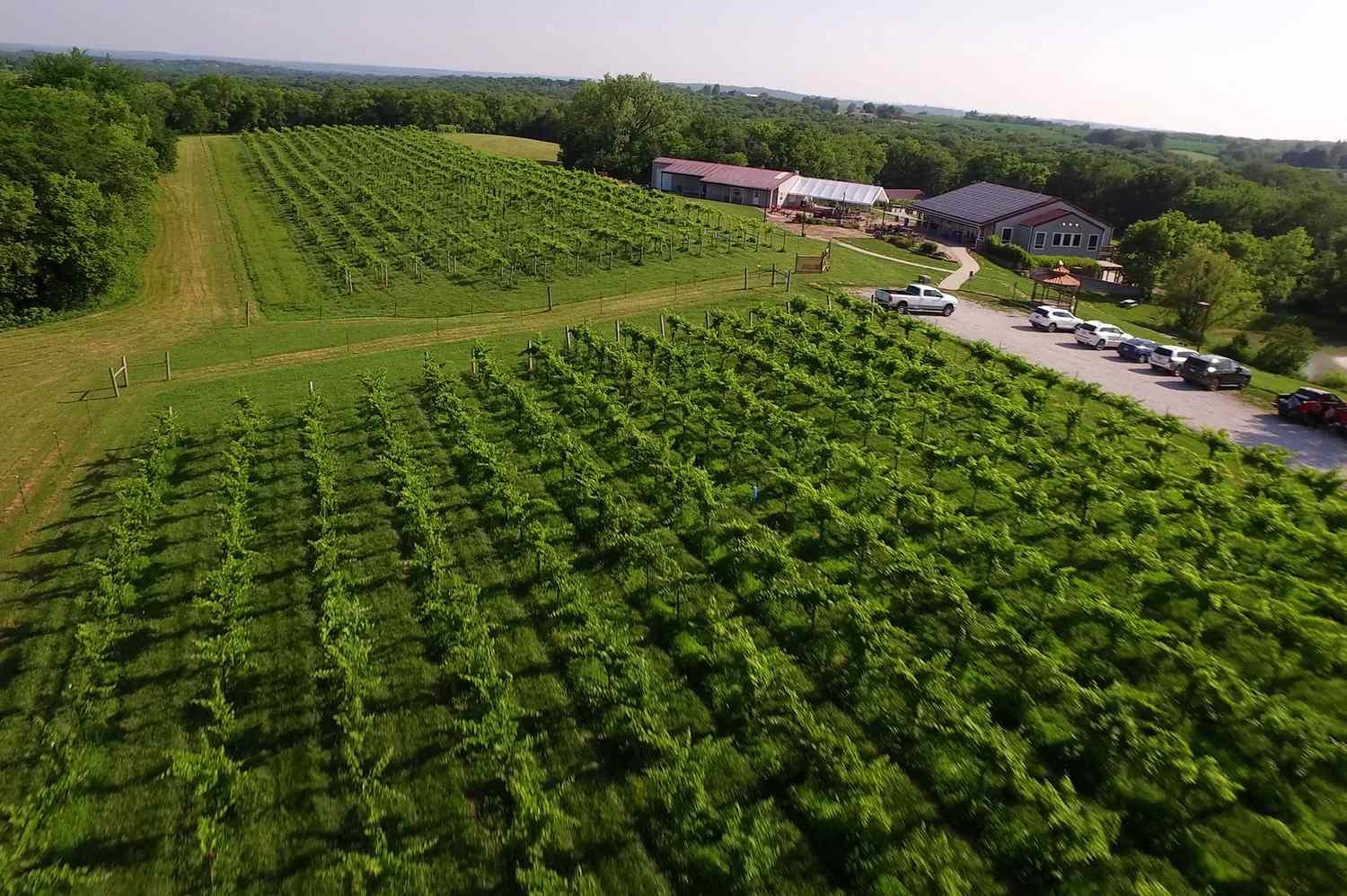 The Essential Guide to Excelsior Springs, Missouri