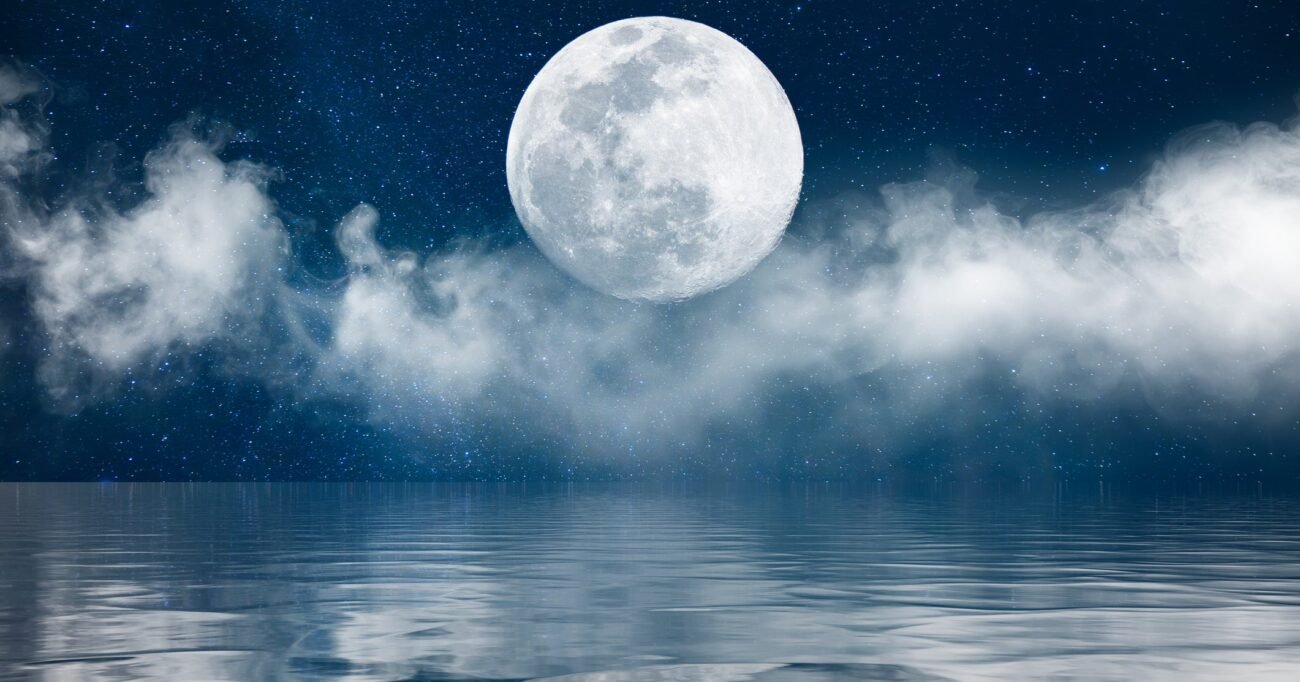 The Full Snow Moon In Leo Horoscope 2026 Is Here