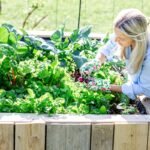 10 Fastest-Growing Vegetables, Herbs, and Fruits for Gardens