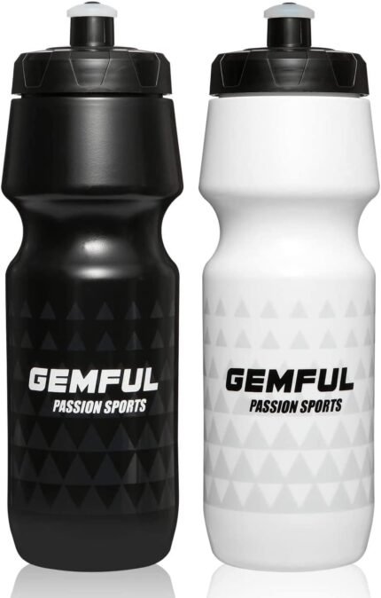 GEMFUL Water Bottle Biking BPA Free 24 Ounce 2 Pack