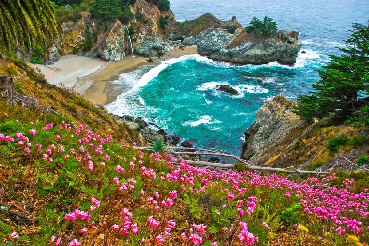 The Essential Guide to Julia Pfeiffer Burns State Park