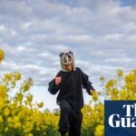 Am I a deluded attention-seeker? Why I’m running the London Marathon dressed as a badger | Running