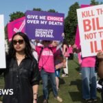 Assisted dying bill runs out of time but supporters vow to try again