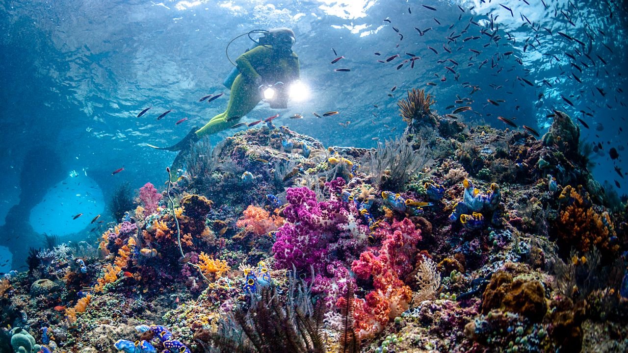 20 Best Snorkeling Destinations in the World for Beginners and Pros Alike