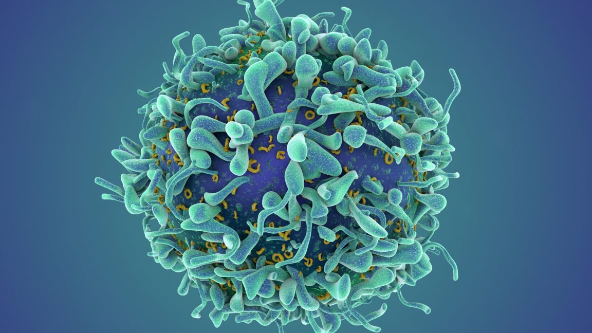 A revolutionary cancer treatment could transform autoimmune disease