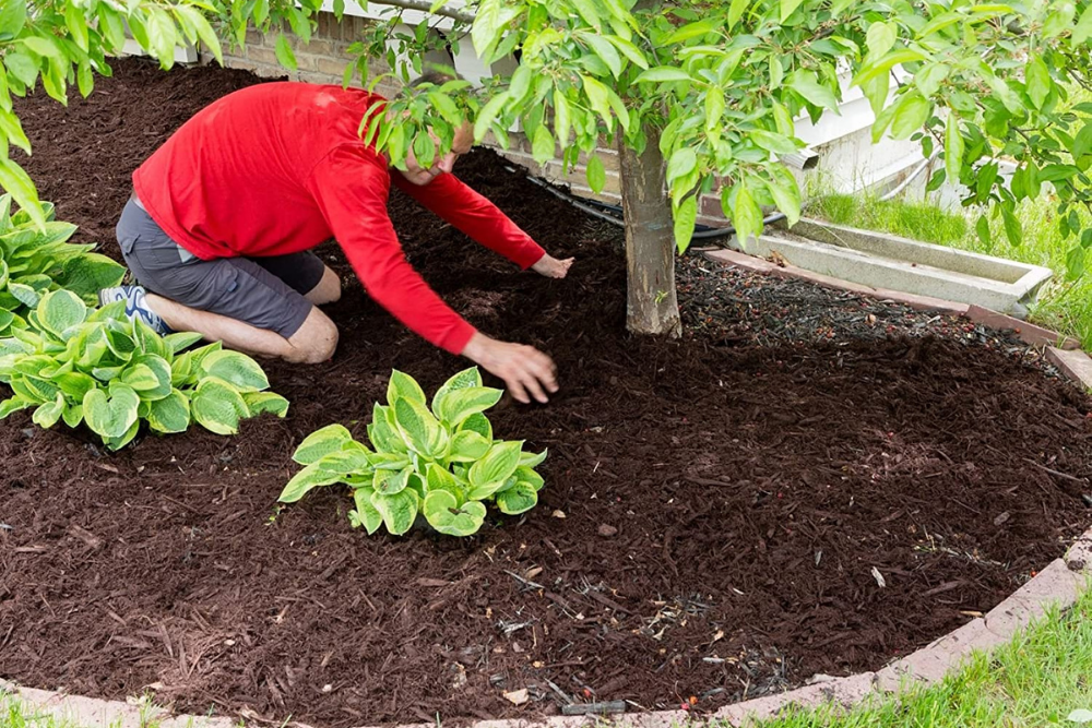 The Best Mulch of 2026