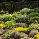 10 Plants That Help Control Erosion on Steep Properties