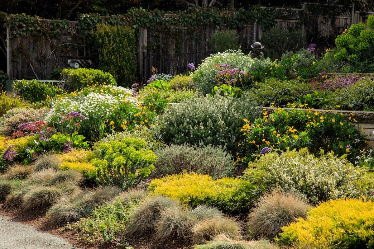10 Plants That Help Control Erosion on Steep Properties