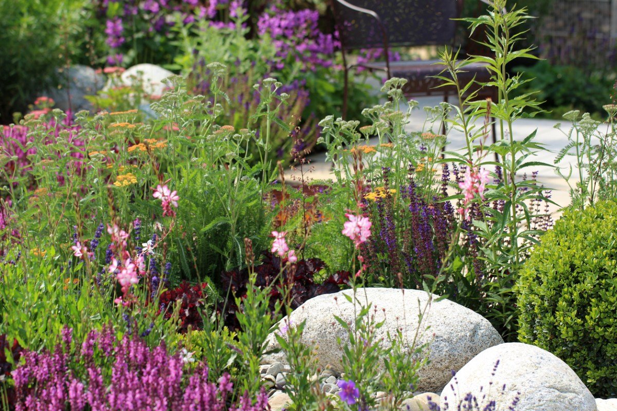 High Temps Won't Kill These 20 Heat Tolerant Plants and Flowers