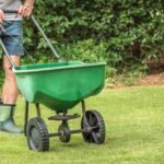 This is When to Fertilize the Lawn, No Matter Your Grass Type
