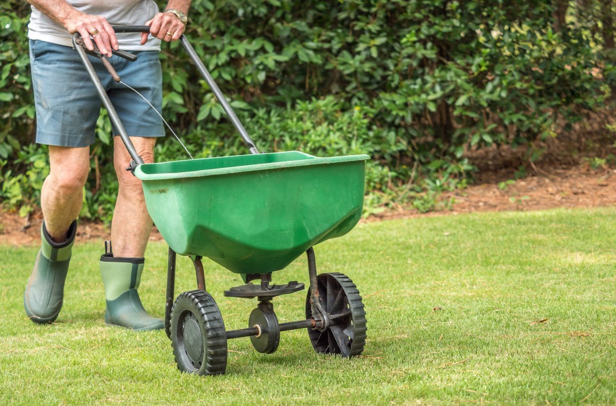 This is When to Fertilize the Lawn, No Matter Your Grass Type